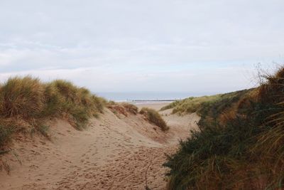 Scenic view of beach against sky