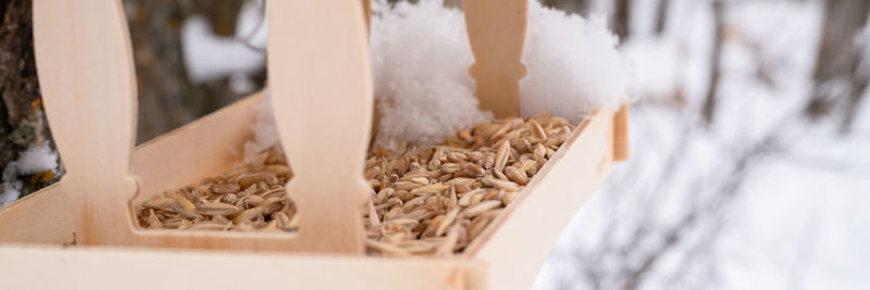 Wooden feeder for wild forest birds with food hanging on tree covered with fresh icy frozen snow