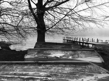 Bare trees against sky