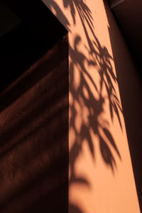 Close-up of illuminated lamp on table against wall