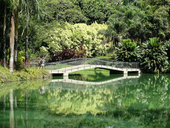 Gazebo by lake in forest