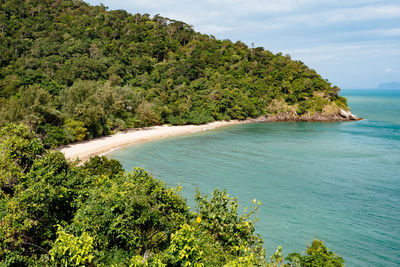 High angle view of trees by sea against sky