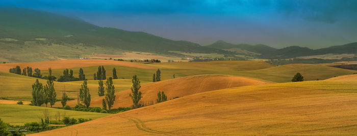 Scenic view of landscape against sky