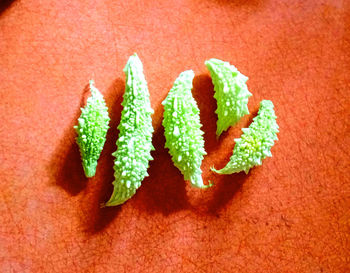 High angle view of vegetables against orange background