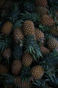 Full frame shot of fruits