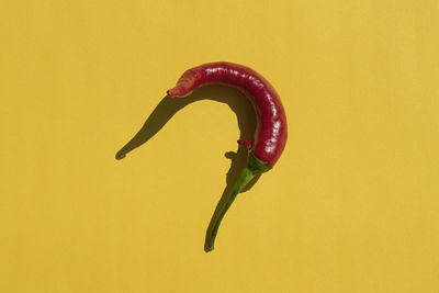 Red hot pepper on a yellow background with a hard shadow