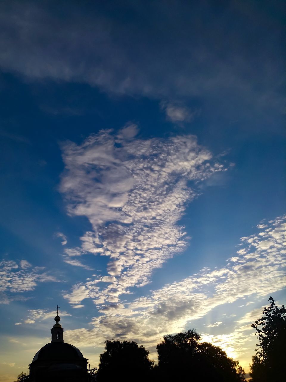 LOW ANGLE VIEW OF SILHOUETTE TREE AGAINST SKY