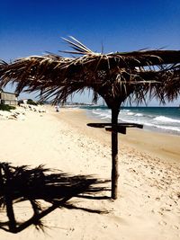 Palm trees on beach