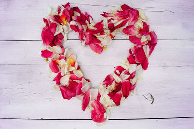 Close-up of pink flowers on wall