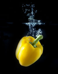 Close-up of yellow bell pepper against black background