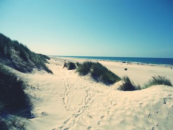 Scenic view of beach against clear sky