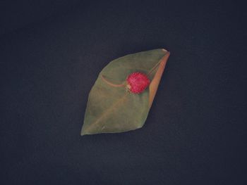 Close-up of strawberry over black background