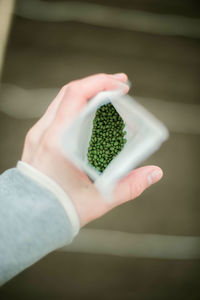 Cropped hand of woman holding marijuana