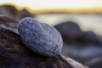 Close-up of stones on rock