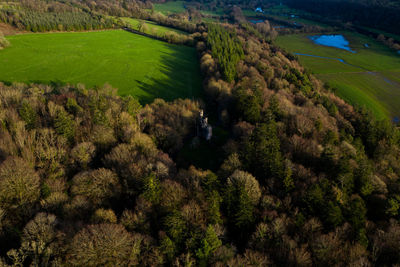 High angle view of trees on field