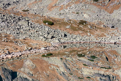 Full frame shot of rocks on land