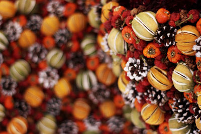 Close-up of fruits hanging