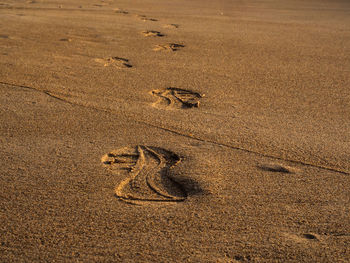 High angle view of footprints on sand