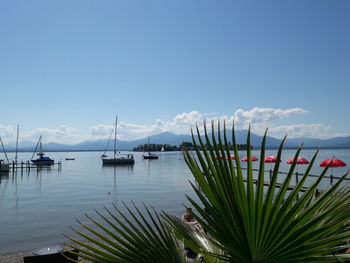 Sailboats moored in sea against sky