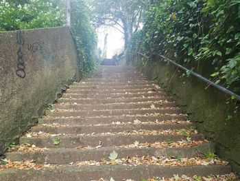 Footpath by wall in park