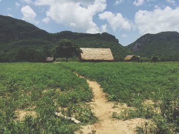 Scenic view of grassy field against cloudy sky