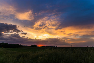 Scenic view of field against sky during sunset