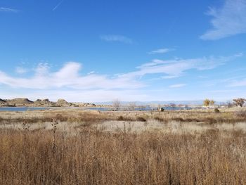 Scenic view of field against blue sky