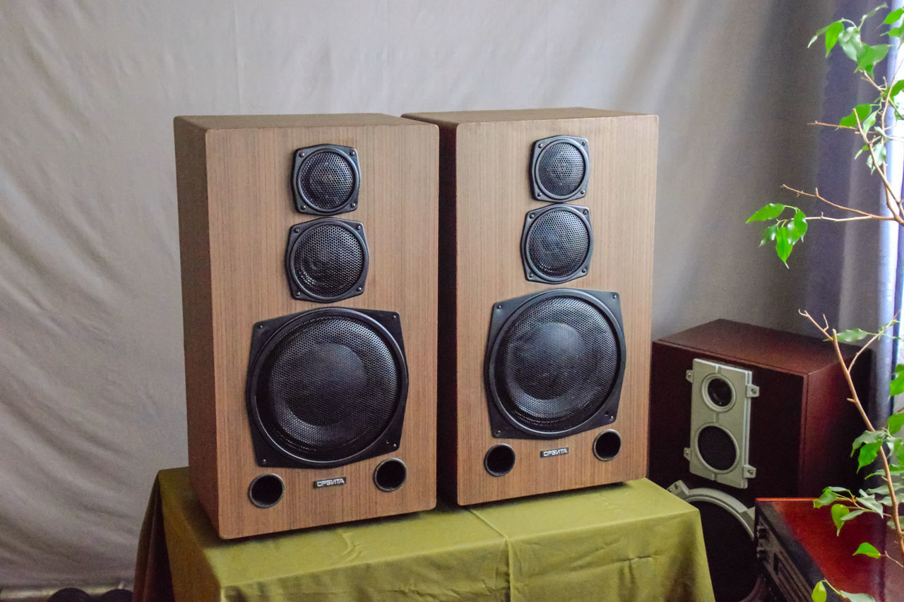 loudspeaker, sound box, technology, studio monitor, subwoofer, room, audio equipment, indoors, music, stereophonic sound, houseplant, arts culture and entertainment, no people, retro styled, wood, plant, home interior, multimedia