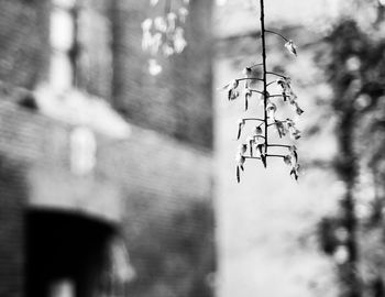 Low angle view of electric lamp hanging on wall