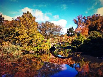 Reflection of trees in pond