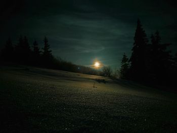 Road amidst trees against sky at night