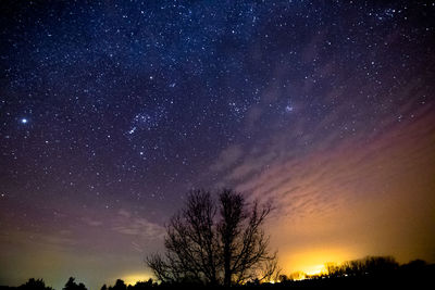 Low angle view of starry sky at night