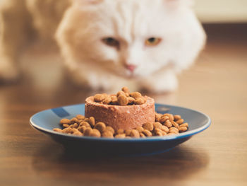 Close-up of food