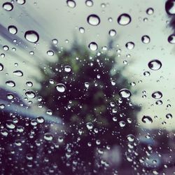 Full frame shot of water drops on leaf