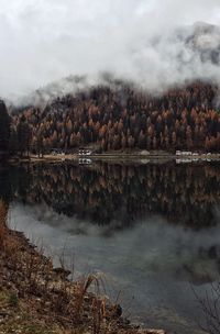 Scenic view of lake by trees against sky