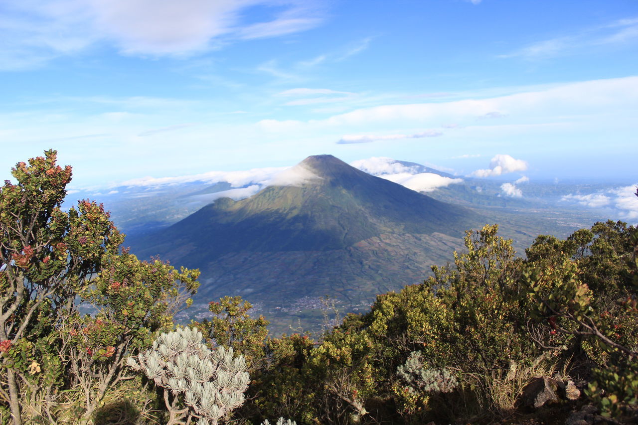 Santosa