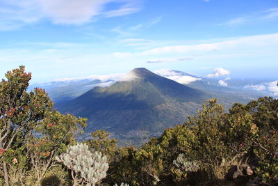 mountain