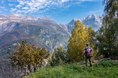 Man and plants against trees and mountains against sky