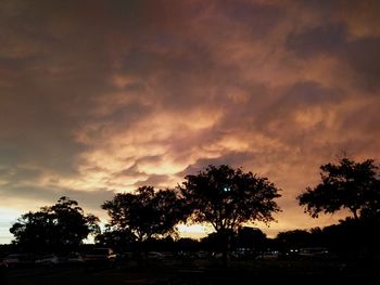 Silhouette trees against sky during sunset