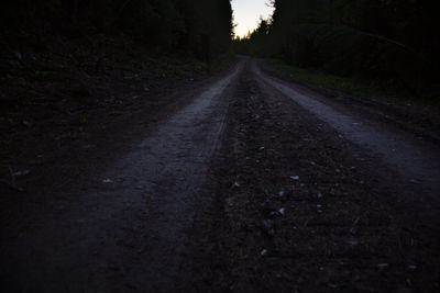 Surface level of dirt road in forest