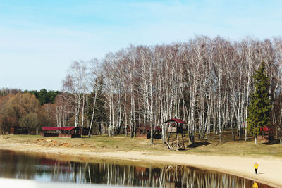 Panoramic shot of trees by lake against sky