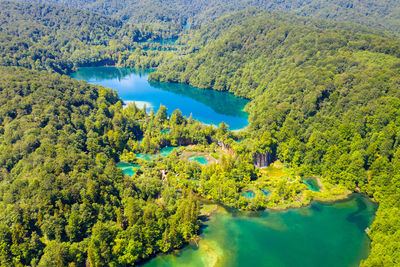 High angle view of lake amidst trees in forest