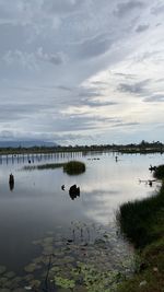 Scenic view of lake against sky