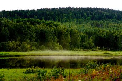 Scenic view of landscape