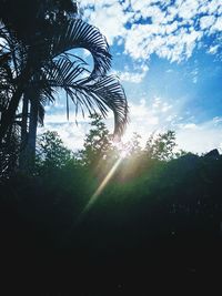 Low angle view of trees against sky