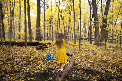 Rear view of person with yellow umbrella in forest