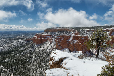 Scenic view of landscape against sky during winter