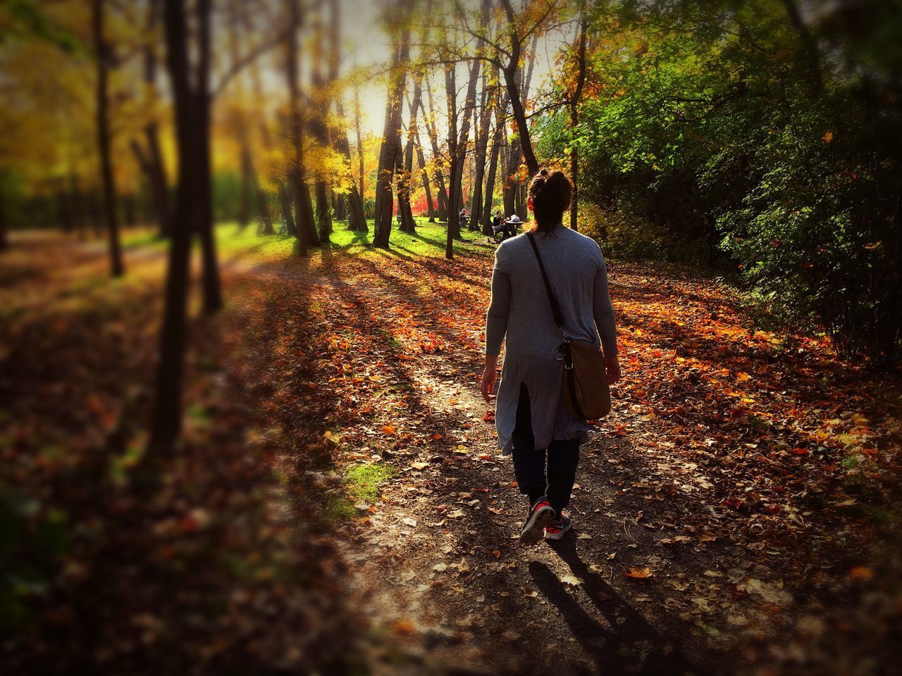 REAR VIEW OF WOMAN WALKING IN AUTUMN FOREST