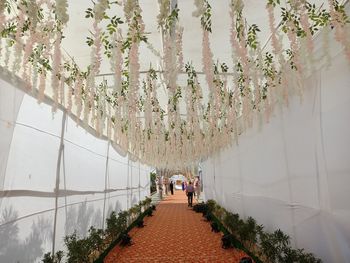 Rear view of people walking along plants