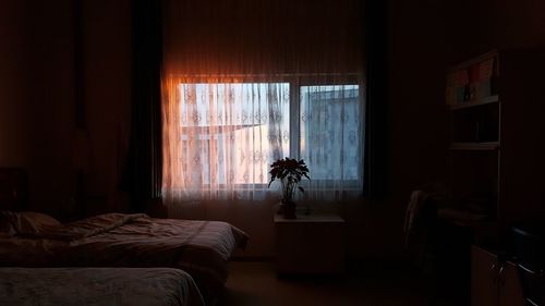 Flower vase on window at home